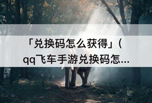 「兑换码怎么获得」(qq飞车手游兑换码怎么获得)