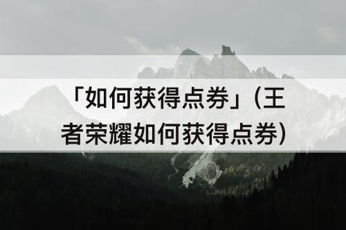 「如何获得点券」(王者荣耀如何获得点券)
