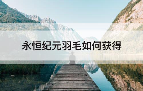 永恒纪元羽毛如何获得