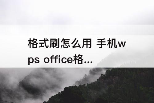 格式刷怎么用 手机wps office格式刷怎么用