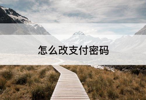 怎么改支付密码