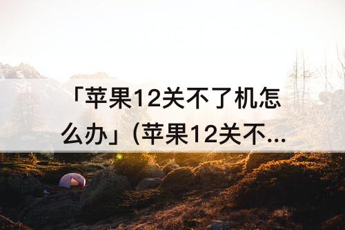 「苹果12关不了机怎么办」(苹果12关不了机怎么办一直显示苹果)
