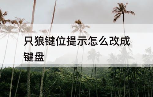 只狼键位提示怎么改成键盘