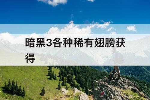 暗黑3各种稀有翅膀获得
