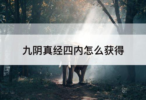 九阴真经四内怎么获得