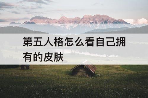 第五人格怎么看自己拥有的皮肤
