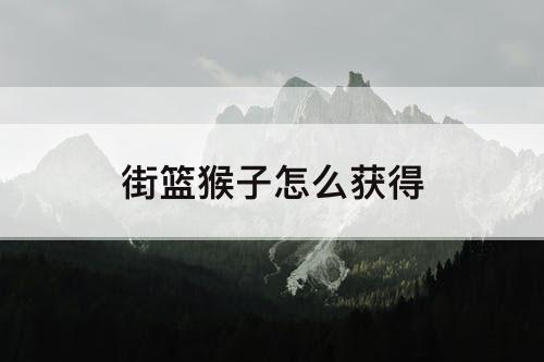 街篮猴子怎么获得