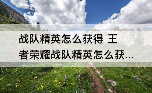 战队精英怎么获得 王者荣耀战队精英怎么获得
