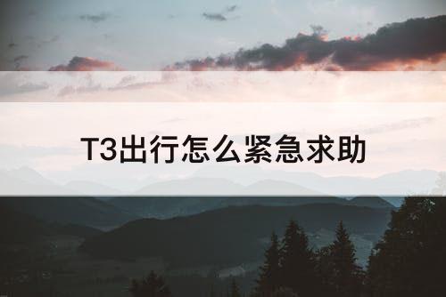 T3出行怎么紧急求助