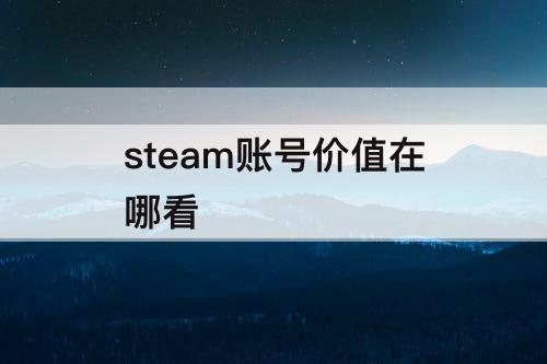 steam账号价值在哪看