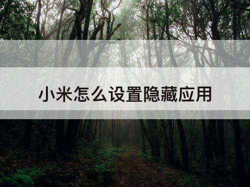 小米怎么设置隐藏应用