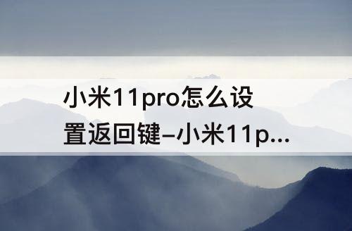 小米11pro怎么设置返回键-小米11pro怎么设置返回键动画