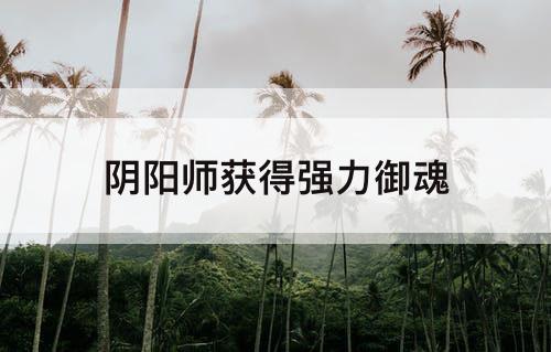 阴阳师获得强力御魂