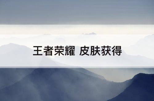 王者荣耀 皮肤获得