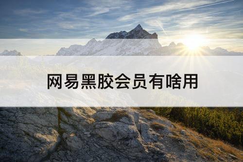 网易黑胶会员有啥用