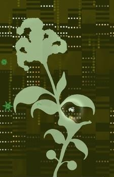 伊甸暗盒  v1.3.004图2