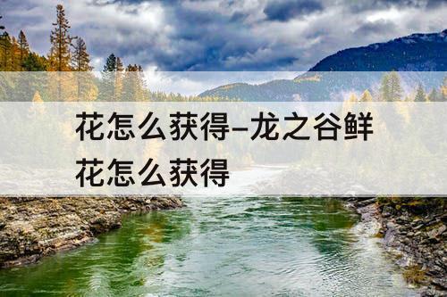 花怎么获得-龙之谷鲜花怎么获得
