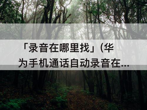 「录音在哪里找」(华为手机通话自动录音在哪里找)