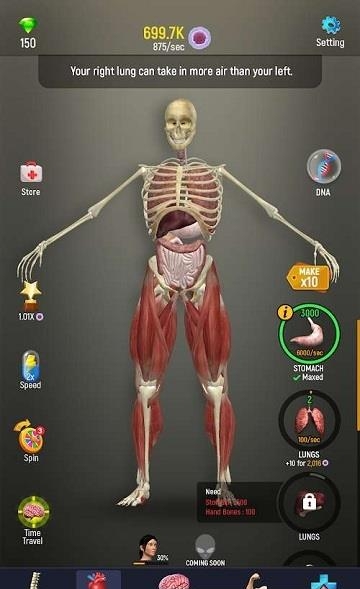 人体模型  v1.0图2