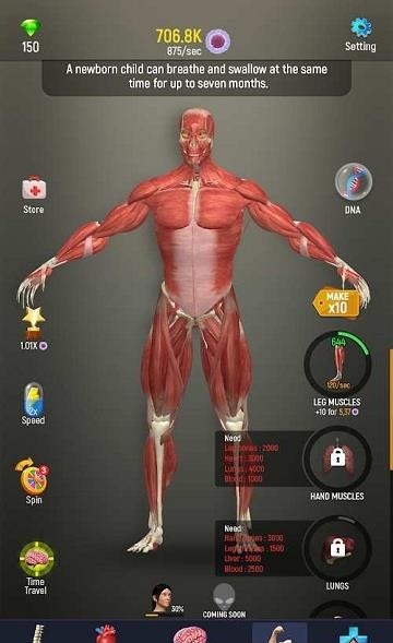 人体模型  v1.0图1
