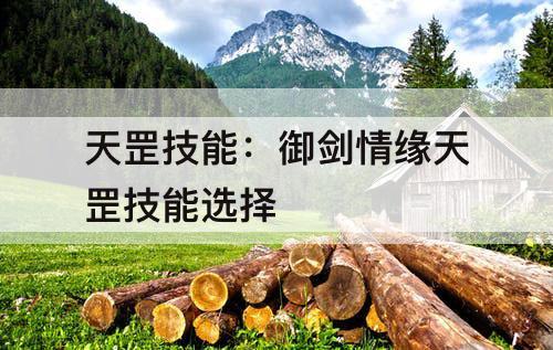 天罡技能：御剑情缘天罡技能选择