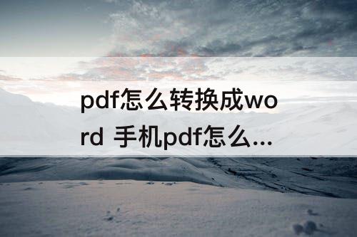 pdf怎么转换成word 手机pdf怎么转换成word文档文本框