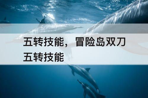 五转技能，冒险岛双刀五转技能