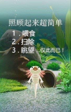 治愈的蝾螈  v1.7图2