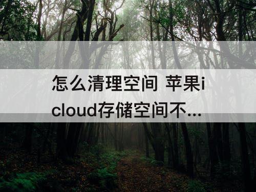 怎么清理空间 苹果icloud存储空间不足怎么清理空间