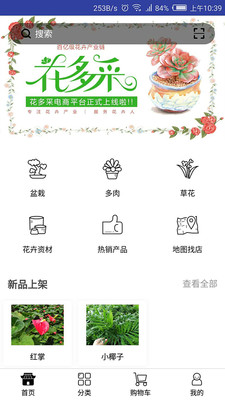 花多采  v1.3图1