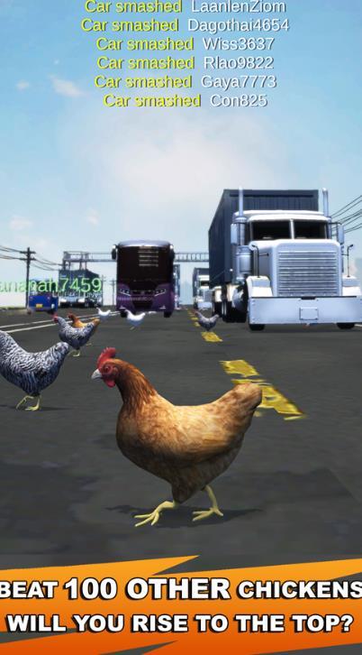 Chicken