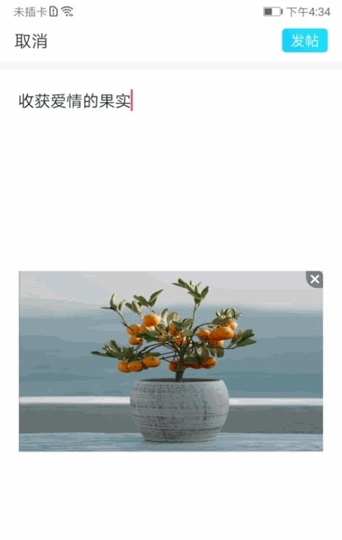 彩凤交友  v1.0.0图1