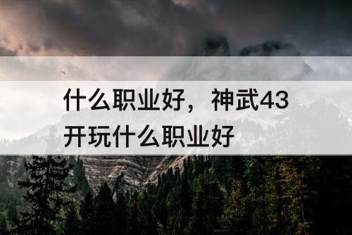 什么职业好，神武43开玩什么职业好