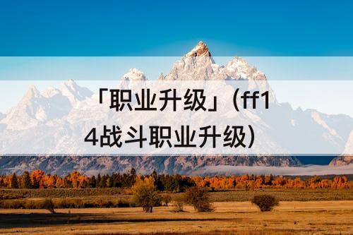 「职业升级」(ff14战斗职业升级)