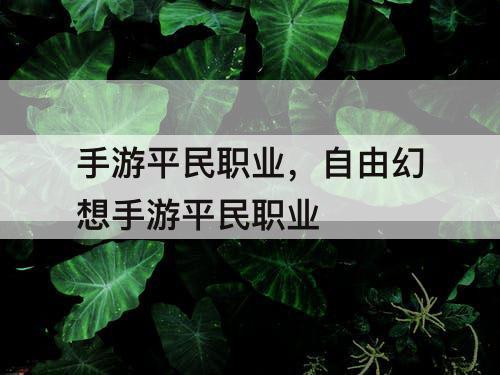 手游平民职业，自由幻想手游平民职业