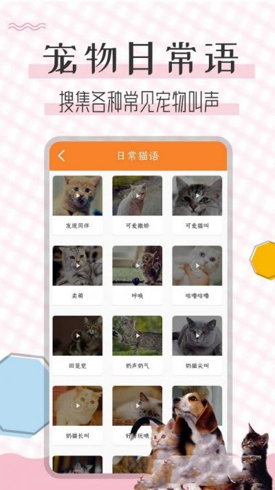 猫语翻译宝