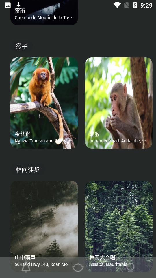 森林白噪音