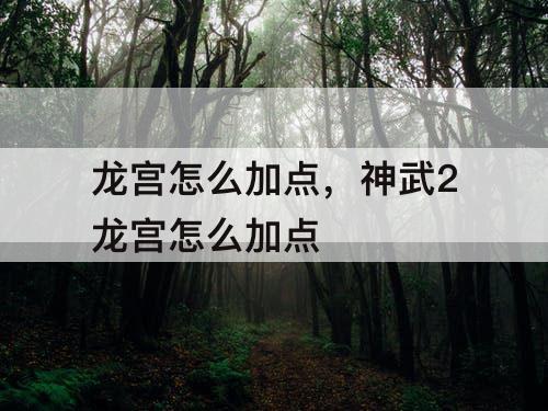龙宫怎么加点，神武2龙宫怎么加点