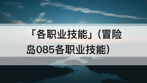 「各职业技能」(冒险岛085各职业技能)