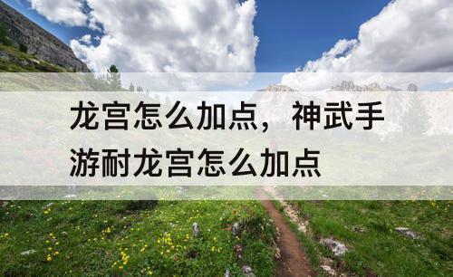 龙宫怎么加点，神武手游耐龙宫怎么加点