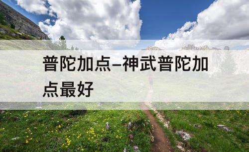 普陀加点-神武普陀加点最好