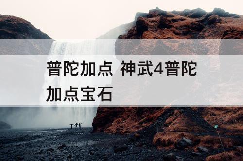 普陀加点 神武4普陀加点宝石