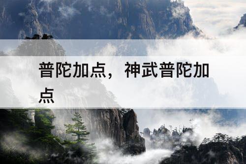普陀加点，神武普陀加点