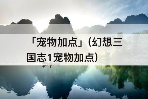 「宠物加点」(幻想三国志1宠物加点)