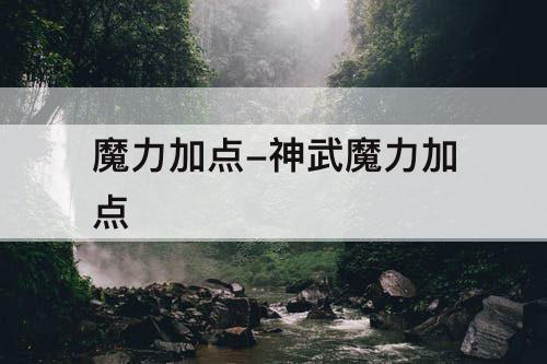 魔力加点-神武魔力加点