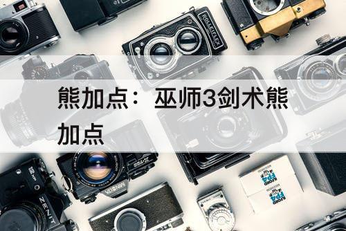 熊加点：巫师3剑术熊加点