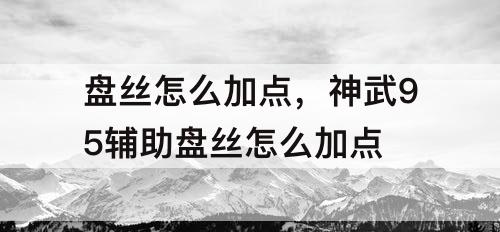 盘丝怎么加点，神武95辅助盘丝怎么加点
