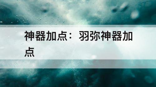 神器加点：羽弥神器加点