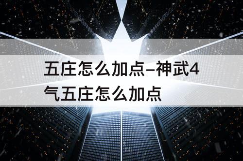 五庄怎么加点-神武4气五庄怎么加点