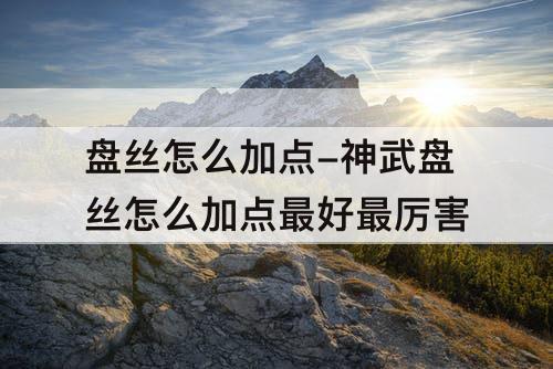 盘丝怎么加点-神武盘丝怎么加点最好最厉害